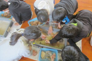 ４～６月の体験・出前授業の申し込みは終了しました。