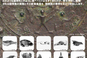 令和４年度「富士山の日歴史講演会」のライブ配信決定