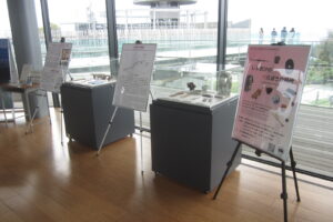 日本平夢テラスにて、「しずおかのべらぼうな時代」を展示しています。