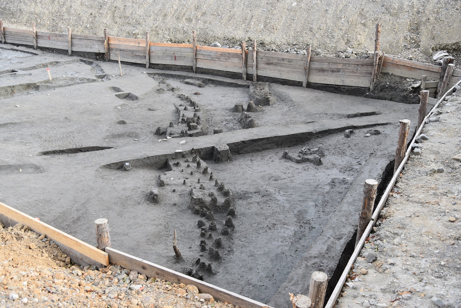 川合遺跡現地便り 【川の跡から土器が多数出土！ウマも！】 | 静岡県