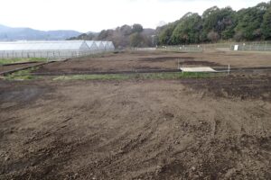 週刊　中桁･中ノ坪遺跡現地便り（最終回）